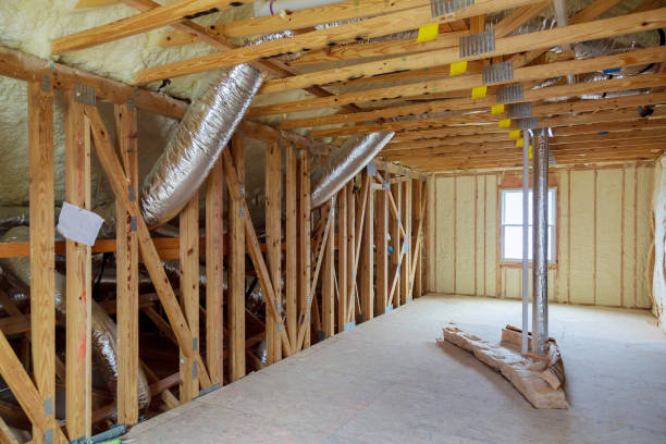 Best Insulation Removal  in Bayou Lourse, LA