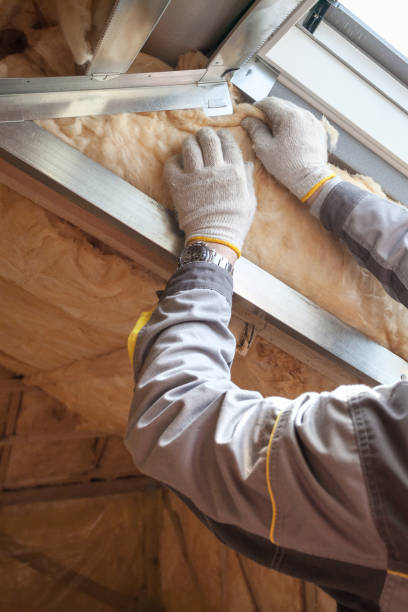 Best Soundproof Insulation Installation  in Bayou Lourse, LA