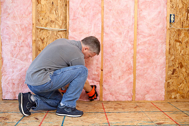Best Insulation Inspection Services  in Bayou Lourse, LA