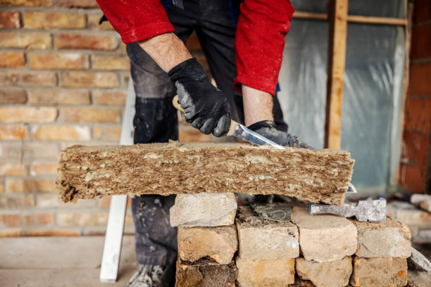 Best Insulation Replacement Services  in Bayou Lourse, LA